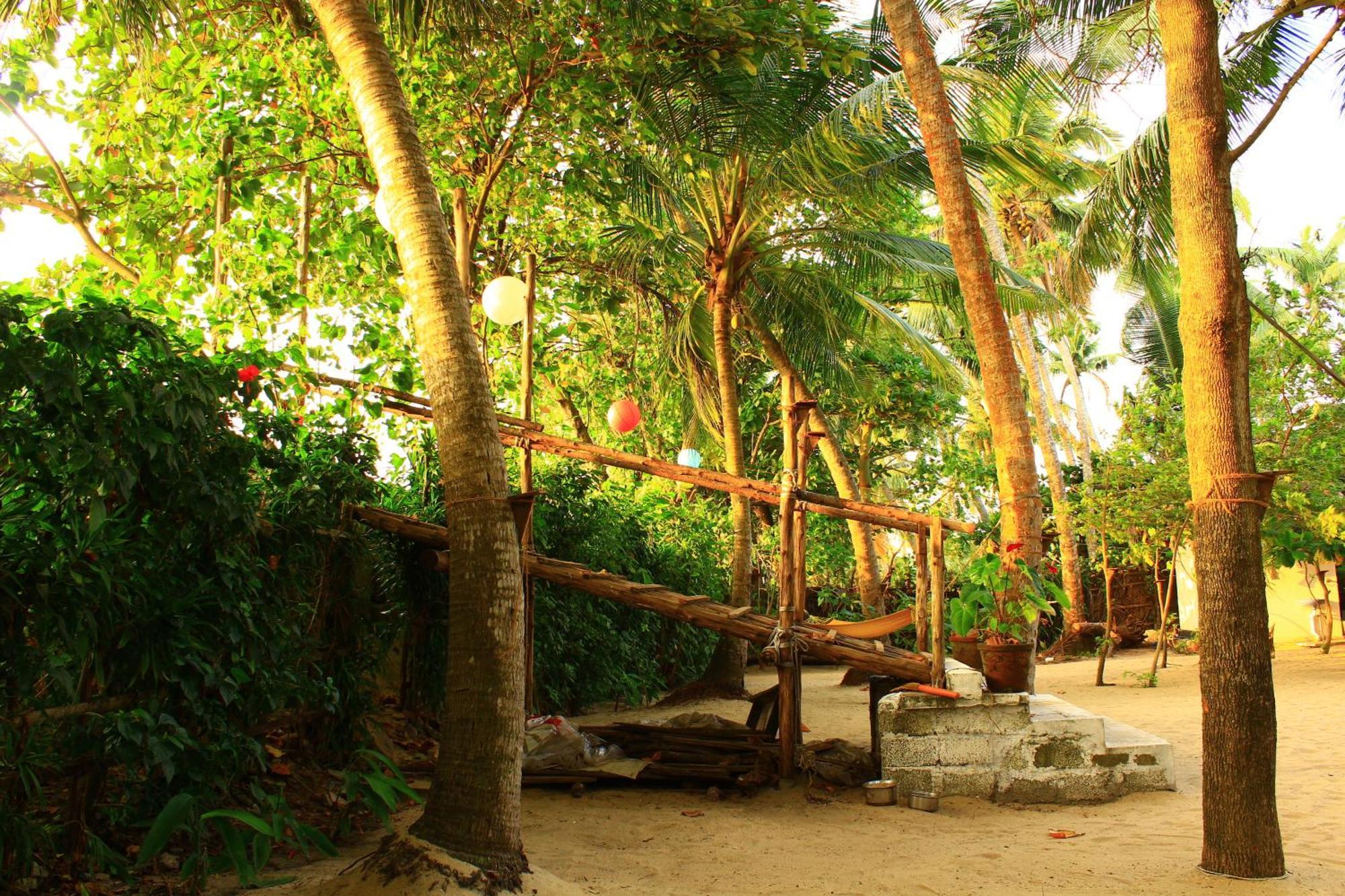Sea Hut Homestay Kochi Exteriér fotografie
